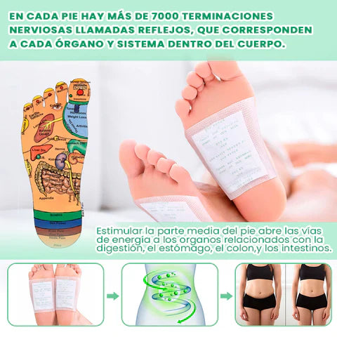 🌿 Eliminá toxinas mientras dormís con los parches Kinoki