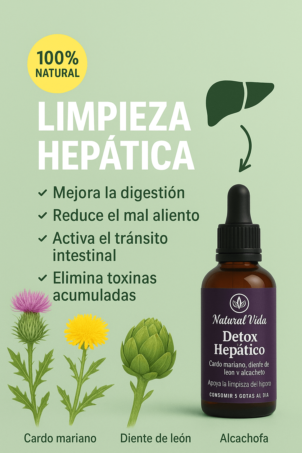 Detox Hepático 100% Natural – Limpieza y Desinflamación del Hígado