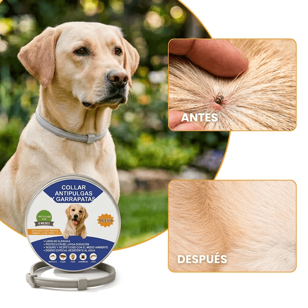 COLLAR ANTIPULGAS Y GARRAPATAS — Protección Natural Para Tu Perro