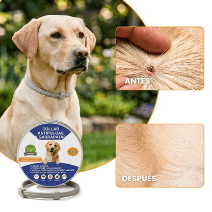 COLLAR ANTIPULGAS Y GARRAPATAS — Protección Natural Para Tu Perro
